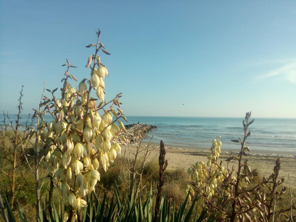 Villa Trifoglio Lido di Jesolo Exteriér fotografie